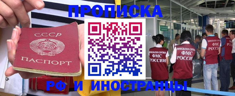 прописка поиск в Курске